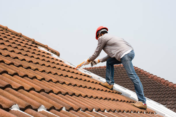 Best Roof Coating Services  in Pocono Springs, PA